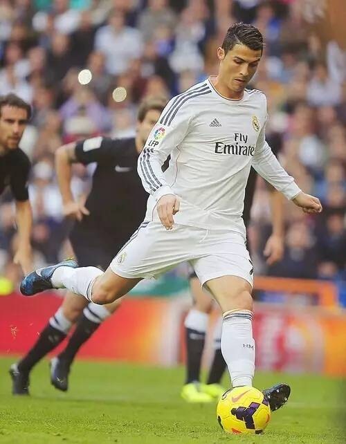 他的适应能 他的适应能